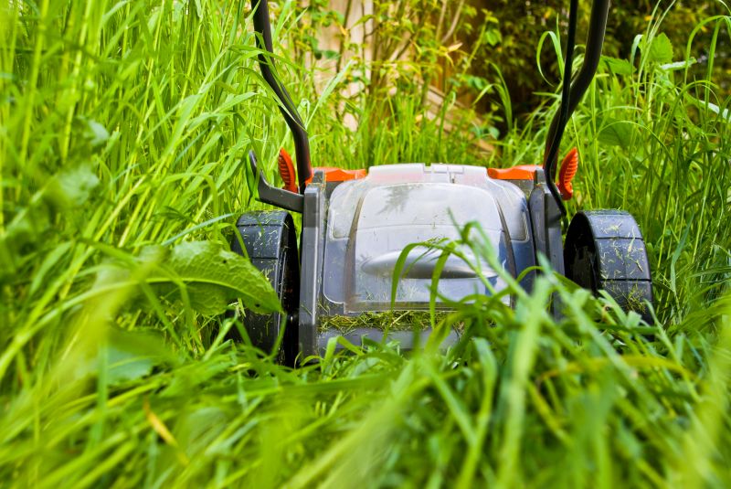 Commercial Lawn Mowing detail