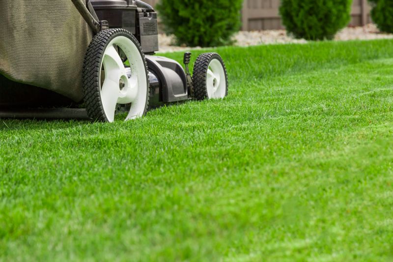 Lawn Cutting Service detail