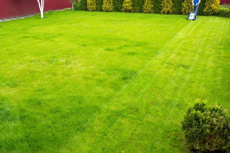 Customized Lawn Care Plans