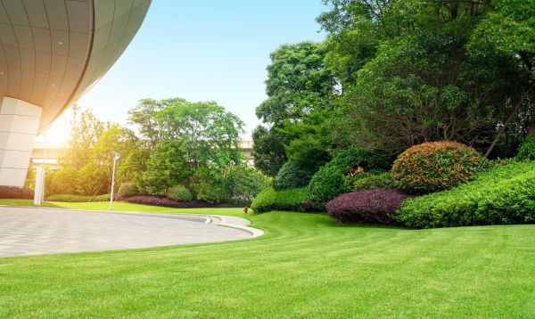 Cost of Commercial Lawn Mowing in Alpharetta