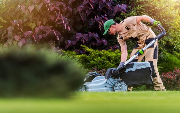 Lawn Care And Maintenance in Alpharetta