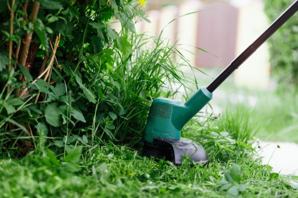 Weed Whacking in Alpharetta