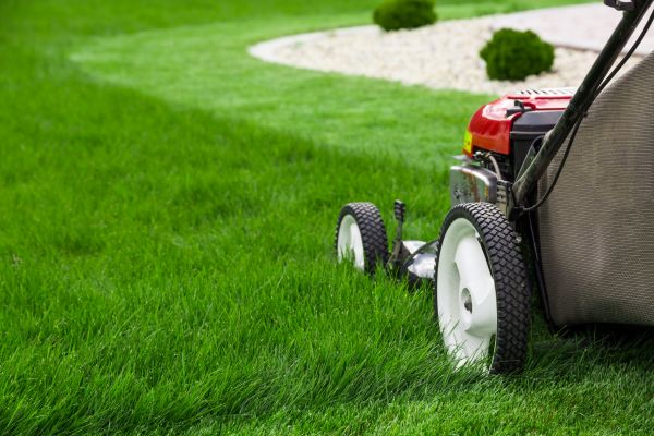 Yard Maintenance in Alpharetta