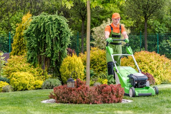 Cost of Yard Service in Alpharetta