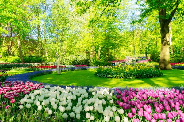 Spring Lawn Care in Alpharetta
