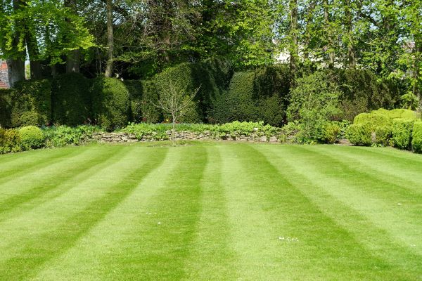 Cost of Grass Care Service in Alpharetta