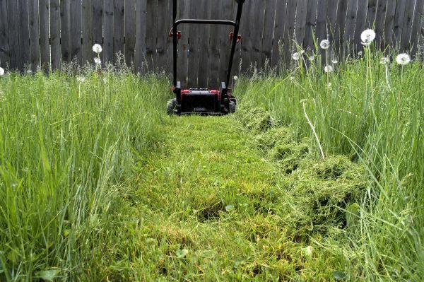 High Grass Mowing in Alpharetta