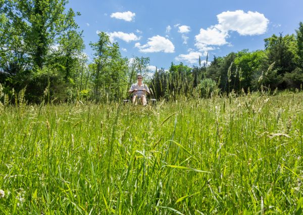 Long Grass Mowing in Alpharetta