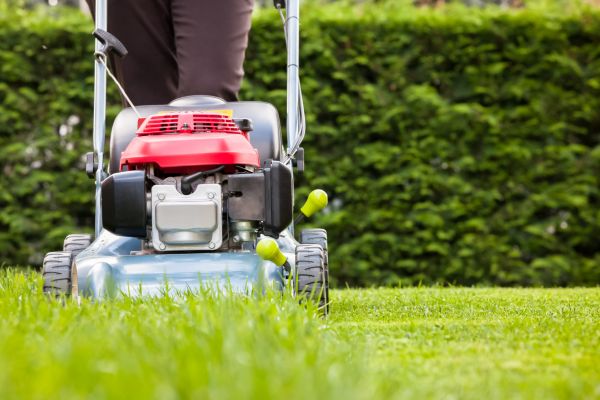 Grass Trimming Service in Alpharetta