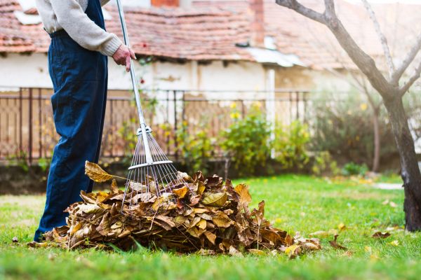 Routine Lawn Maintenance in Alpharetta