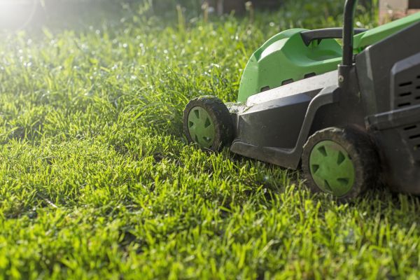 Cost of Lot Mowing in Alpharetta