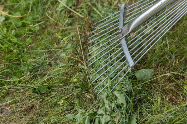 Thatch Raking in Alpharetta