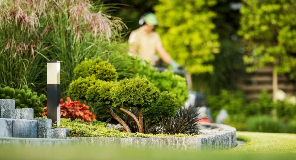 Residential Yard Maintenance in Alpharetta