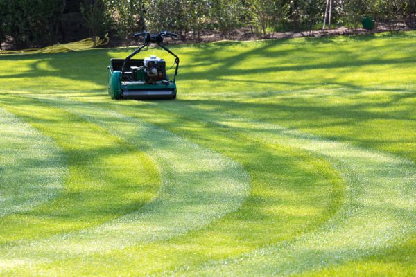 Cost of Business Lawn Mowing in Alpharetta