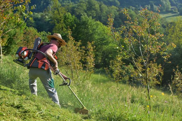 Slope Mowing in Alpharetta