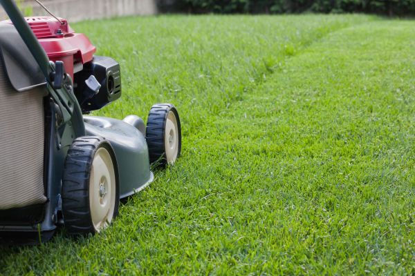 Spring Lawn Maintenance in Alpharetta