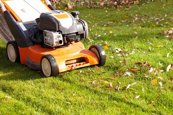 Cost of Fall Mowing in Alpharetta
