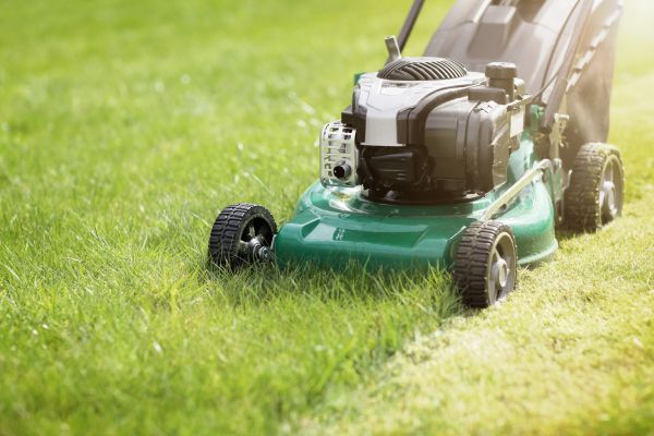 Spring Grass Trimming in Alpharetta