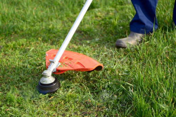 Lawn Weed Whacking in Alpharetta